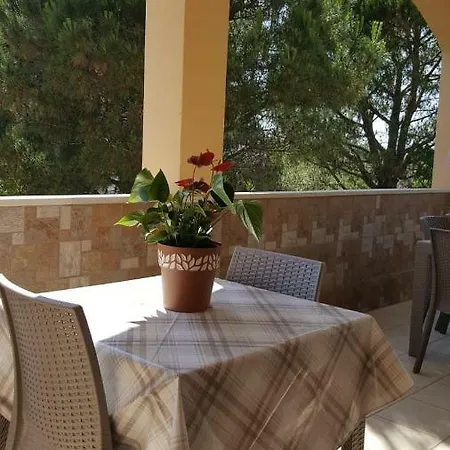 Narciso Сasa de vacaciones *