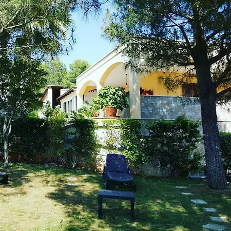 Narciso Сasa de vacaciones